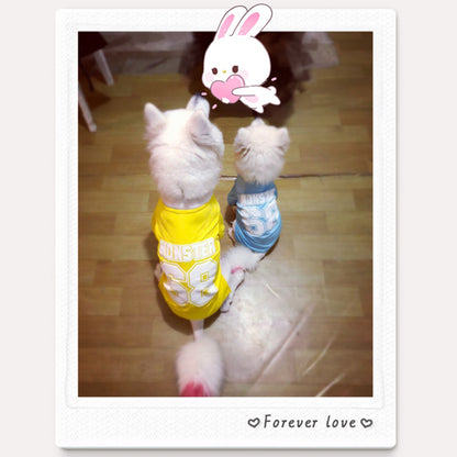 Dog clothes Golden hair medium-sized Large dog Autumn clothes Big dog Spring and Autumn Labrador summer autumn Pets vest