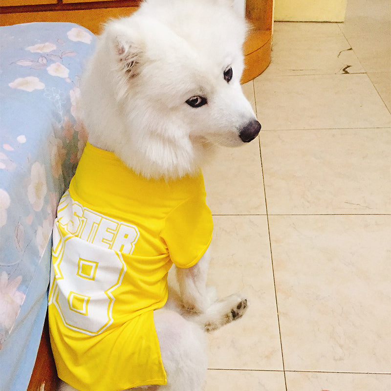 Dog clothes Golden hair medium-sized Large dog Autumn clothes Big dog Spring and Autumn Labrador summer autumn Pets vest
