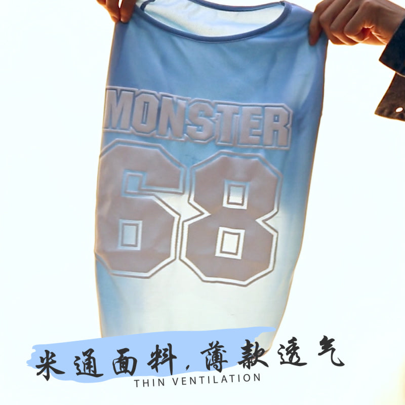 Dog clothes Golden hair medium-sized Large dog Autumn clothes Big dog Spring and Autumn Labrador summer autumn Pets vest